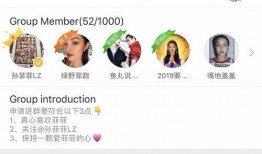 湘潭网红吃瓜群微信号,揭秘网络红人背后的故事与八卦