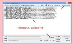 esee比例爆料原视频,原视频背后的惊人真相