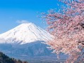 日本富士山最新爆料视频,神秘云海奇观震撼登场