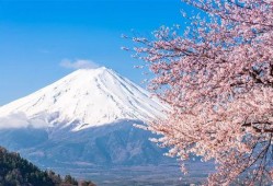 日本富士山最新爆料视频,神秘云海奇观震撼登场