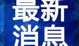 啤酒最新爆料新闻视频,啤酒行业新动态，独家视频爆料揭示行业变革