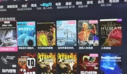 音乐商店爆料怎么弄的视频,如何轻松制作视频教程