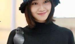 娱乐大爆料蓝盈莹,娱乐大爆料背后的真相揭晓