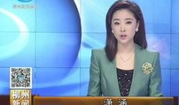 揭阳最新爆料新闻事件视频,惊曝事件视频引发社会关注