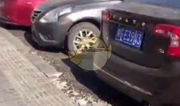 抖音汽车爆料视频,最新汽车爆料视频大盘点