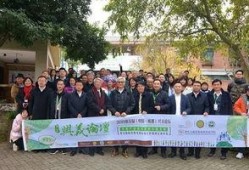 四川新津爆料新闻事件,揭露当地民生问题引发社会关注