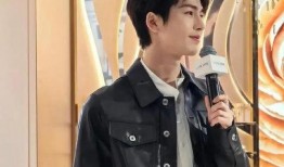 张凌赫娱乐爆料,揭秘明星幕后故事