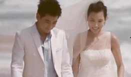 顾琛结婚爆料视频大全,甜蜜瞬间与温馨时刻大盘点