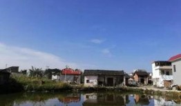 宾阳吧新闻爆料马池村,探寻古村落的魅力与变迁