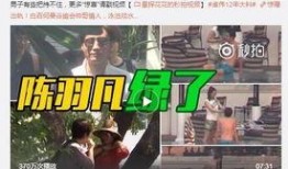 程培洁员工爆料视频大全,揭露职场真相与内幕