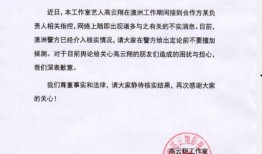 新闻内部爆料案例,一场真相与舆论的较量