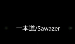 一本道  在线观看,揭秘热门成人内容的魅力与争议