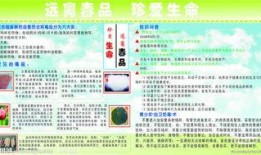 最新爆料珍爱生命图片,共筑安全防线——最新爆料图片警示录