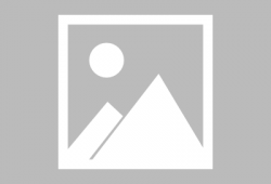 吃瓜群众免费吃瓜小说,吃瓜群众狂欢记