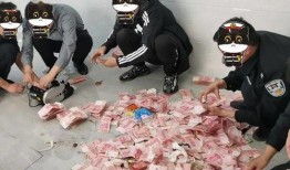 男子爆料开发商被抓视频,男子爆料视频揭露惊人内幕