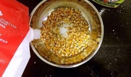 天天爆料爆米花视频大全,爆米花视频大全，精彩瞬间一网打尽！