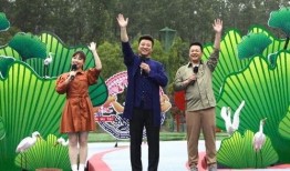 辛巴鹿爆料视频最新一期,揭秘娱乐圈惊人内幕！