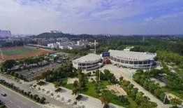 武汉东西湖最新爆料,揭秘区域发展新动向与亮点