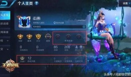 王者加强最新爆料英雄,新英雄崛起，神秘加强爆料引玩家热议