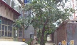 石家庄高柱小区最新爆料