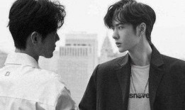 娱乐圈爆料肖战黑粉,娱乐圈爆料背后的真相揭秘