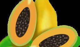 吃瓜素材免费视频网站下载,吃瓜素材一键下载，轻松获取海量资源