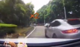 保时捷网友爆料视频