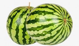 吃瓜素材免费视频网站下载,吃瓜素材一键下载，轻松获取海量资源