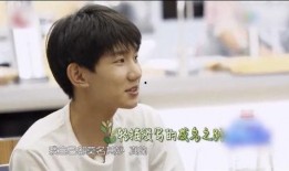 吃瓜娱乐王源完整版