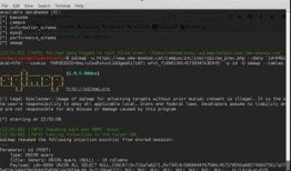 黑客爆料视频网站大全,黑客爆料热门视频网站大盘点