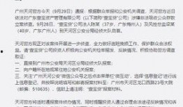 罚罪最新爆料案例分析题,揭秘案件背后惊人真相
