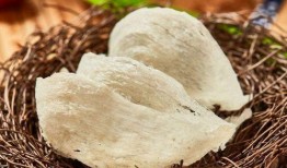 小利被爆料假燕窝视频,视频曝光，真相令人震惊