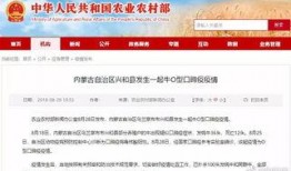 第一眼新闻爆料邮箱,独家线索直击热点事件