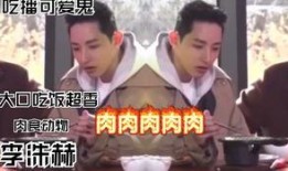 外国舅舅爆料视频播放大全,外国视角下的真实世界