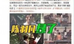 爆料丁海棠视频,揭秘背后惊人真相