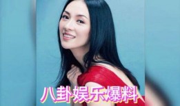 明星综艺爆料吃瓜视频下载