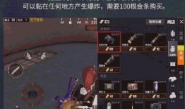 黄金岛爆料最新视频,揭秘神秘宝藏与未知的冒险旅程