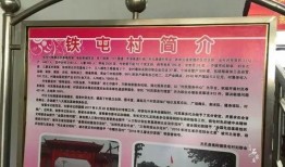 石家庄奇特爆料最新消息,奇特事件引发热议，详情揭秘！