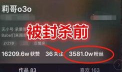 逗哥粉丝爆料视频完整版,揭秘逗哥幕后故事与精彩瞬间