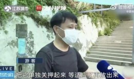 网友拍到网红吃瓜,网友直呼“太真实”