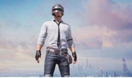 和平精英最新爆料入口下载,神秘入口解锁，抢先体验全新版本！